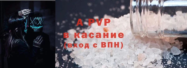 прущие грибы Нефтекумск