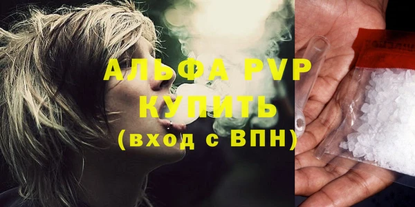 прущие грибы Нефтекумск