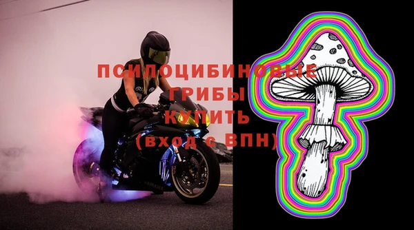 прущие грибы Нефтекумск