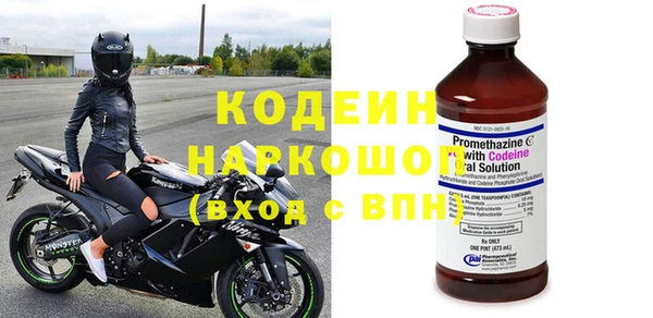 прущие грибы Нефтекумск