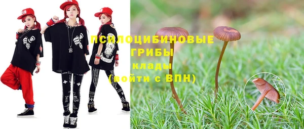 спайс Баксан