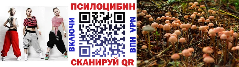 Псилоцибиновые грибы GOLDEN TEACHER MEGA зеркало Кинель