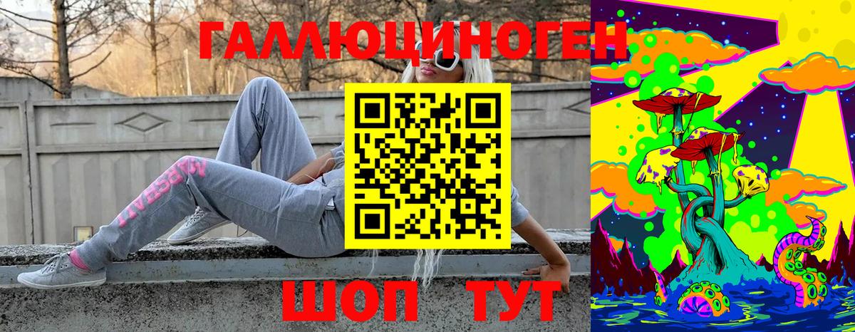 Псилоцибиновые грибы Psilocybine cubensis Кинель