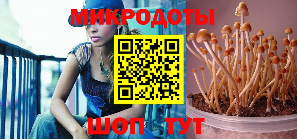 Галлюциногенные грибы мицелий  Вход с VPN  Кинель  Галлюциногенные грибы мицелий 