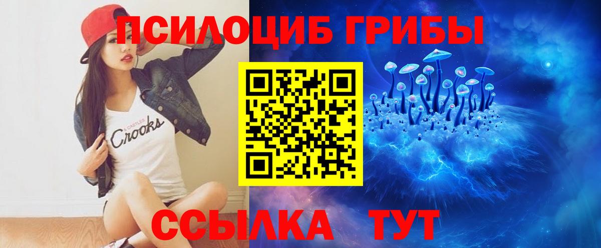 Псилоцибиновые грибы ЛСД Кинель